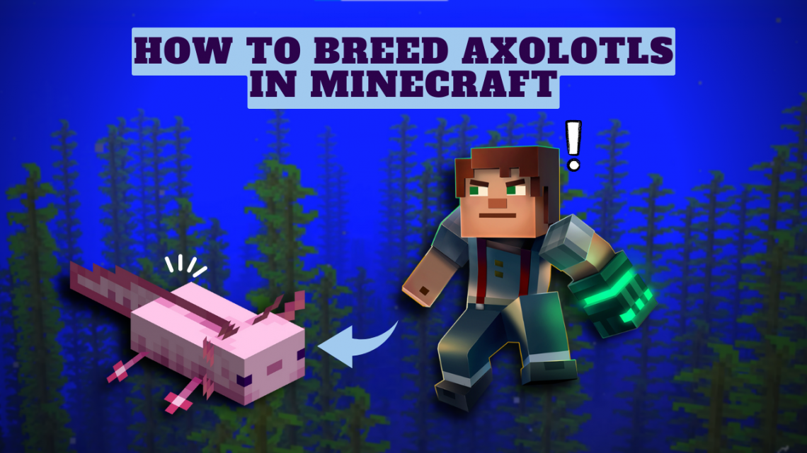 How to Breed Axolotls in Minecraft KiwiPoints