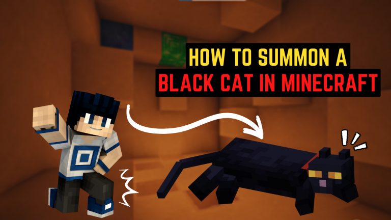 how-to-summon-a-black-cat-in-minecraft-kiwipoints