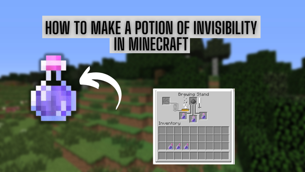 How to make a Potion of Invisibility in Minecraft - KiwiPoints