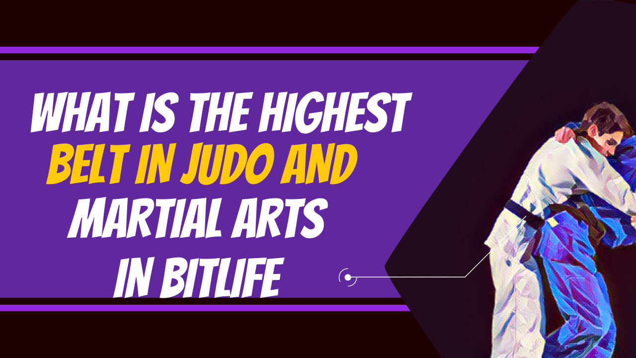 The Most Expensive Martial Arts Belts On The Market – Shop4 Martial Arts  Blog