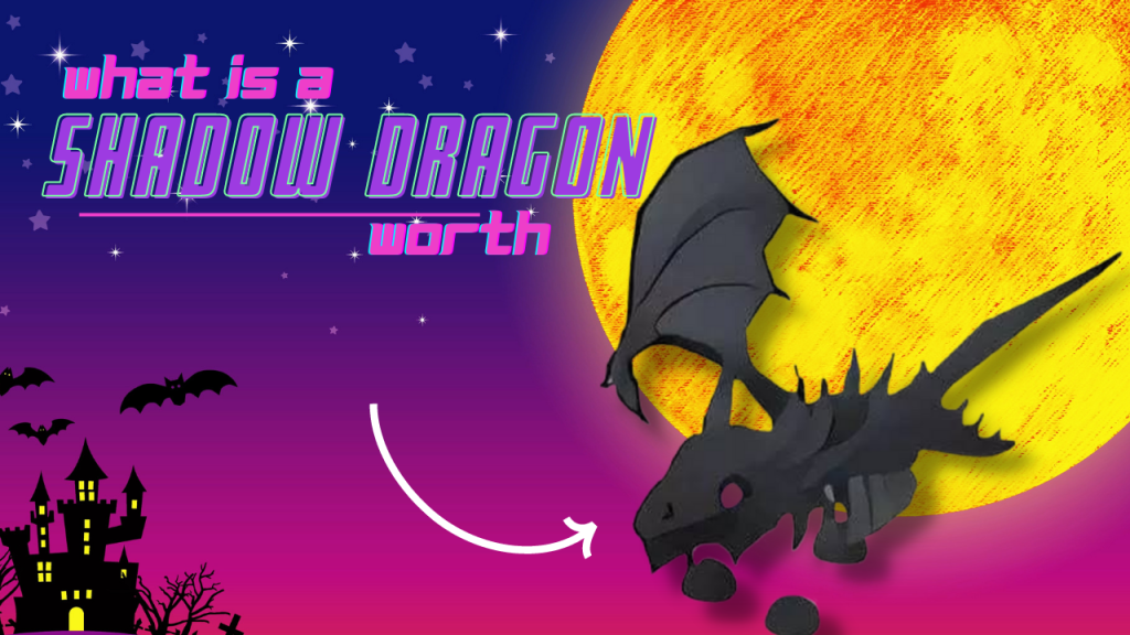 What Is A Shadow Dragon Worth KiwiPoints   2 1024x576 