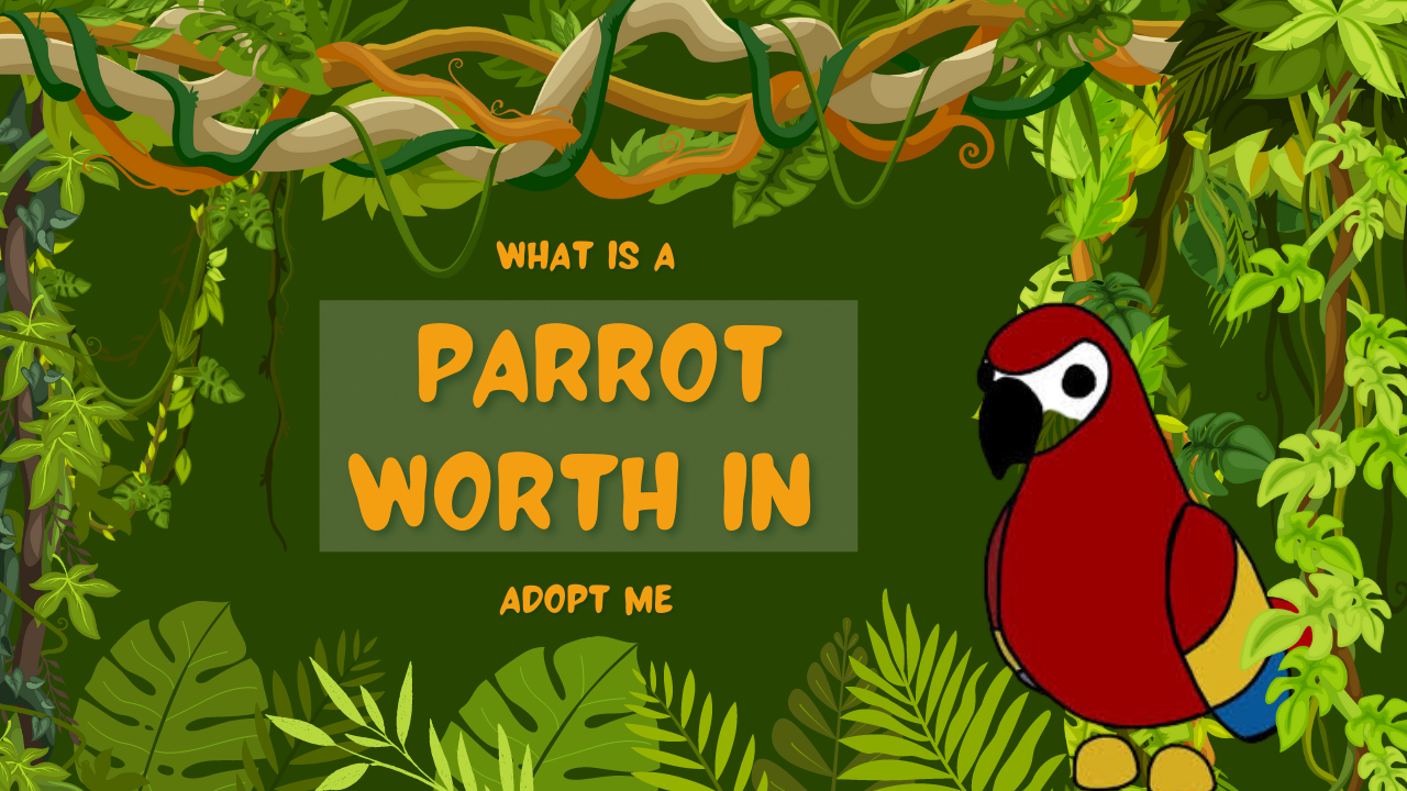What Is A Parrot Worth In Adopt Me? KiwiPoints