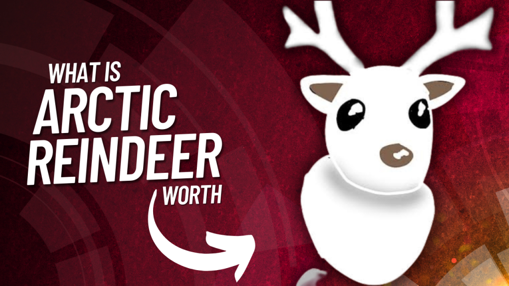 What Is Arctic Reindeer Worth? - KiwiPoints